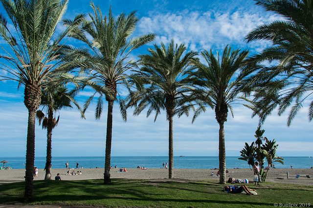 Oktober in Malaga (© Buelipix)