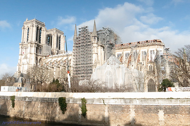 Cathédrale Notre-Dame de Paris 1
