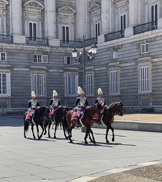 Changing the horse guard, Royal Palace Madrid 1