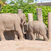 Elephant feeding a baby elephant.
