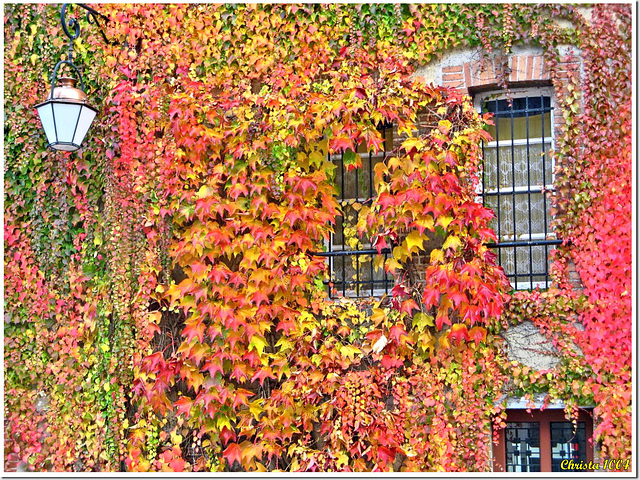 Habit d'automne pour la façade