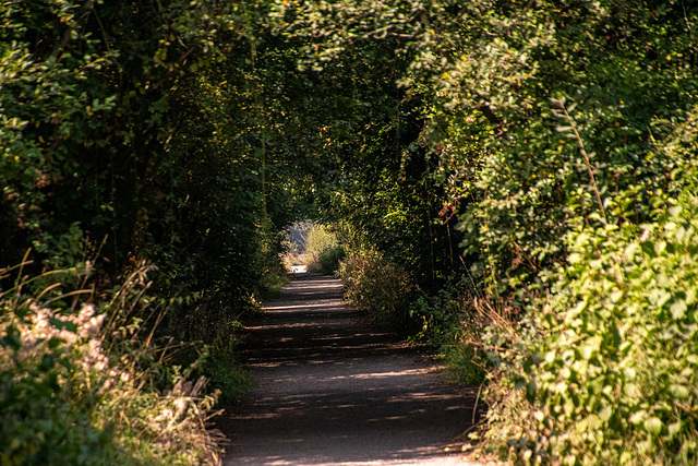 The Wirral Way