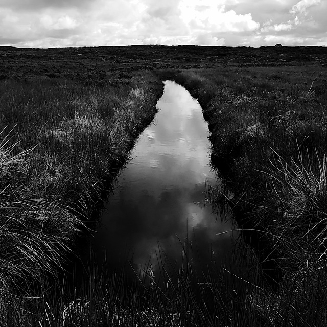 P7080184 Rannoch Moor