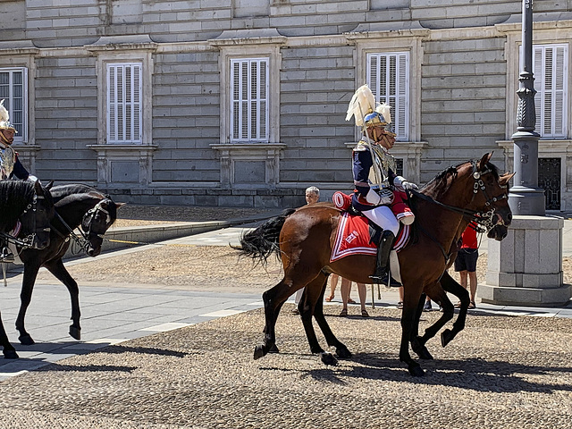 Changing the horse guard, Royal Palace Madrid 2