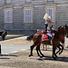 Changing the horse guard, Royal Palace Madrid 2