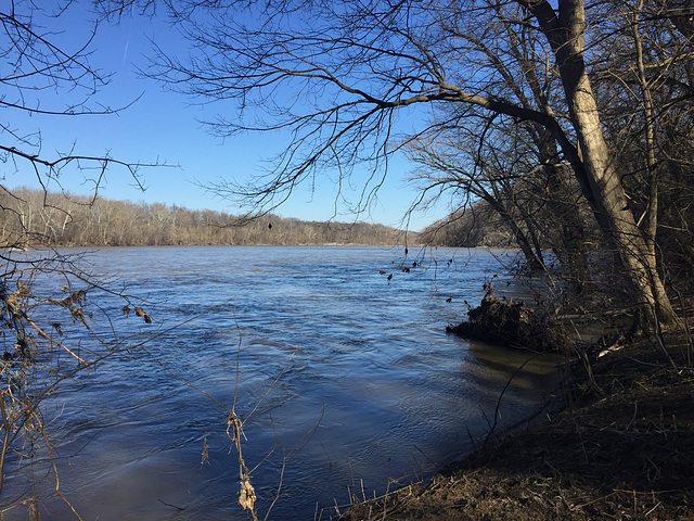 Potomac