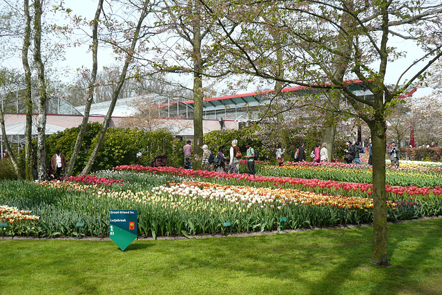 Keukenhof Gardens