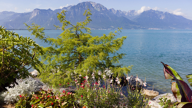 240625 Montreux quai 1