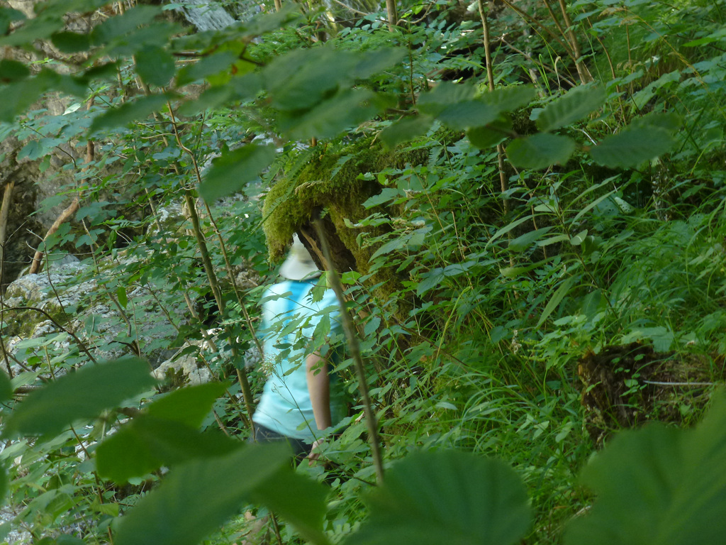 20150710 -15 Rando Spéléo St Pierre de Chartreuse (204)