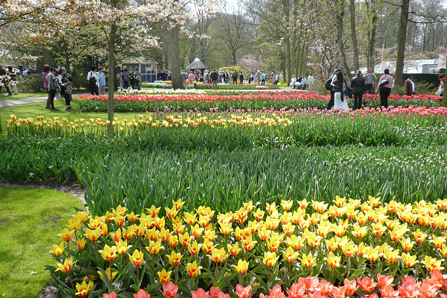 Keukenhof Gardens