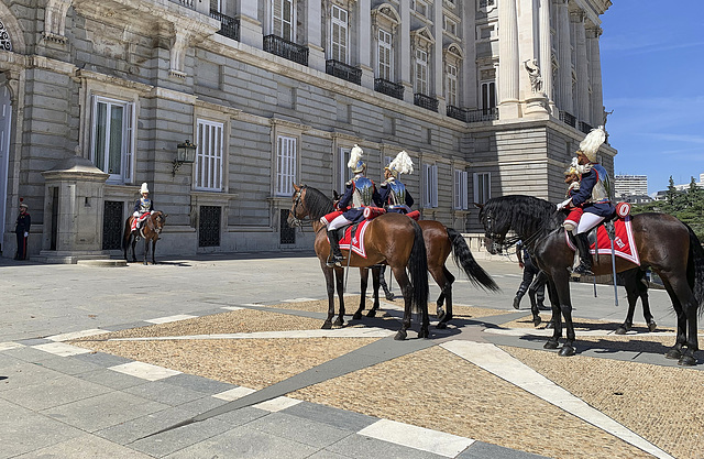 Changing the horse guard, Royal Palace Madrid 4