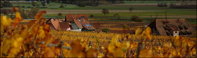 Plaisirs d'Automne