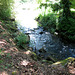 River Sanguinhedo.