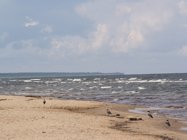 Baltic Coast