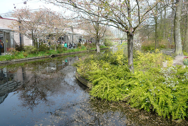 Keukenhof Gardens