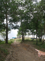 Sentier vers les barques du réservoir.