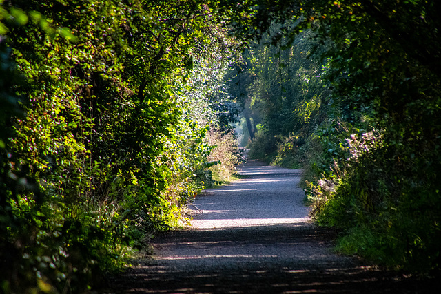 The Wirral Way