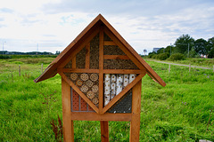 House for bees and other insects