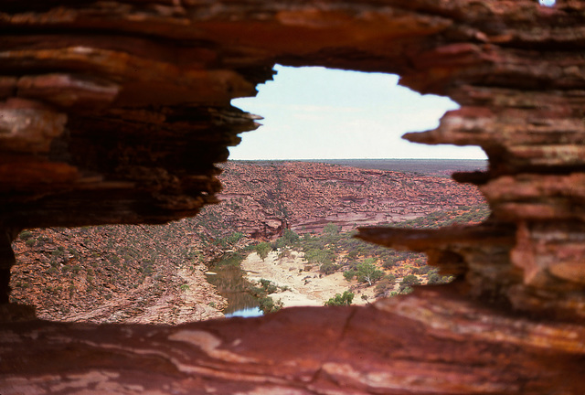 Natures Window 70's