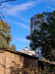 The old wall of the Botanic Gardens