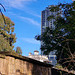 The old wall of the Botanic Gardens