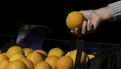 Mercadillo de los domingos El Campello ... P.i.P. (© Buelipix)