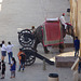 Elephant and cannon