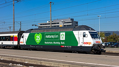 181004 Pratteln Re460Naturaplan