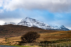 Snowdonia2