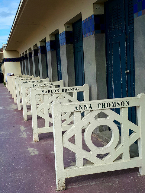 HFF - HAPPY FENCE FRIDAY