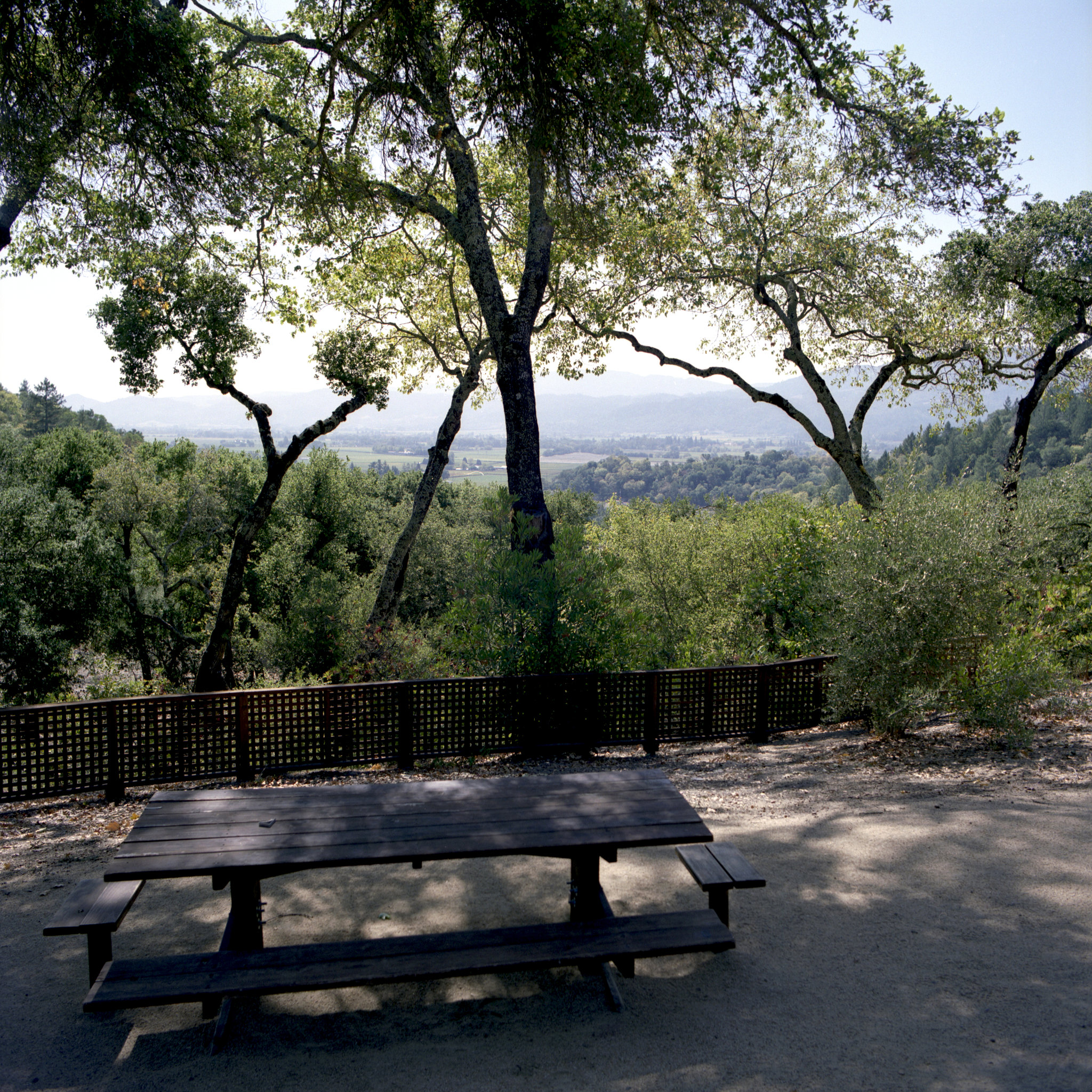 Shaded Picnic Area