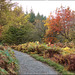 Autumn at Fewston