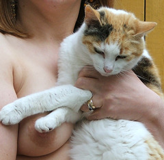 Reluctant Model Reluctant Model