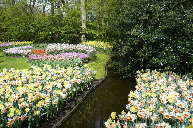 Keukenhof Gardens