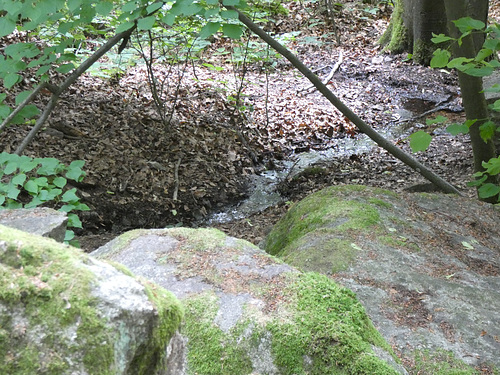 Bachl an der Klamm