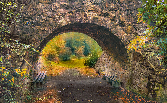 Mein"Tunnelblick"