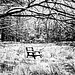 chair in the meadow