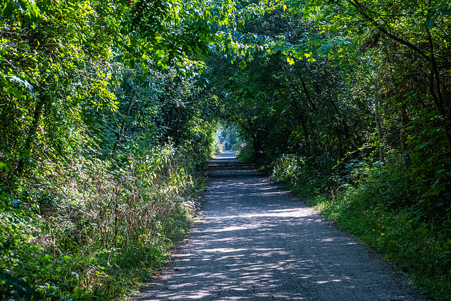 The Wirral Way