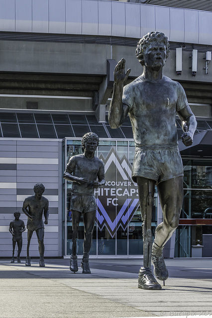 in memory of Terry Fox ... P.i.P. (© Buelipix)