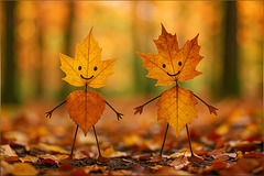 Herzige Laubbuben ｡◕‿◕｡