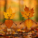 Herzige Laubbuben ｡◕‿◕｡