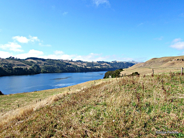 Waikato River Above Doc Camp