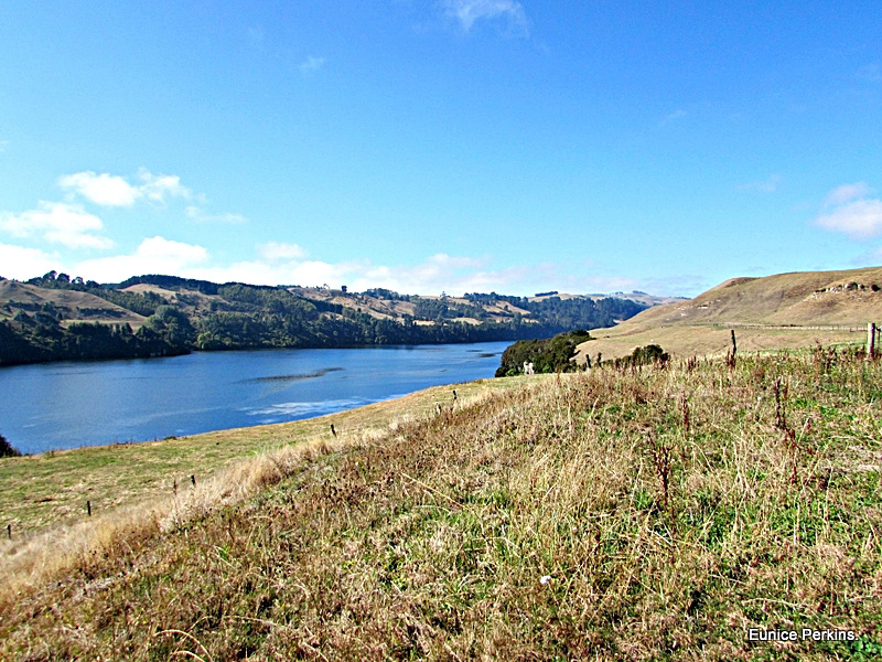 Waikato River Above Doc Camp