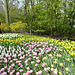 Keukenhof Gardens