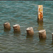 Wasserstand in der Camargue