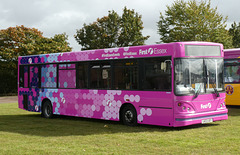 First Essex 41521 (LK03 UEY) at Showbus - 29 Sep 2019 (P1040599)