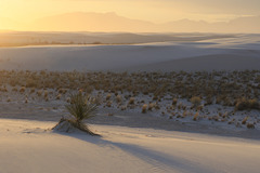 New Mexico Sunset