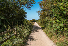 The Wirral Way