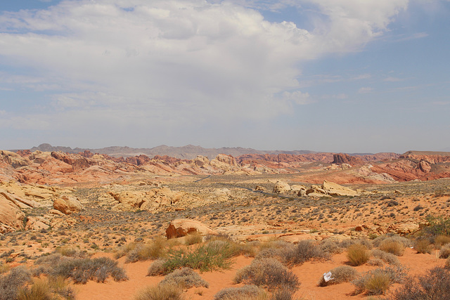 Valley of Fire View