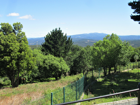 Buçaco Sierra.